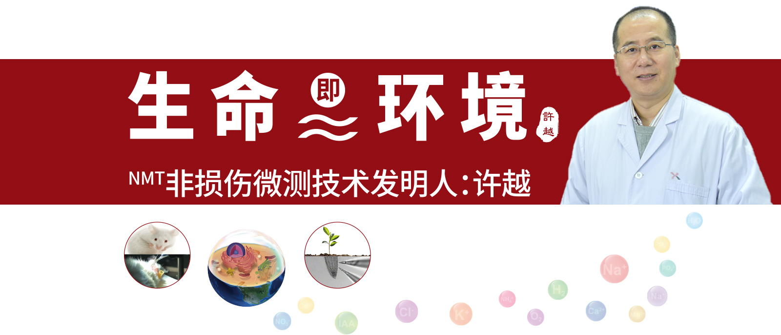 生命即環(huán)境